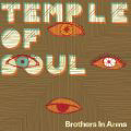 Temple Of Soul